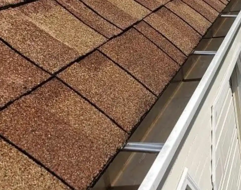 Gutter Cleaning